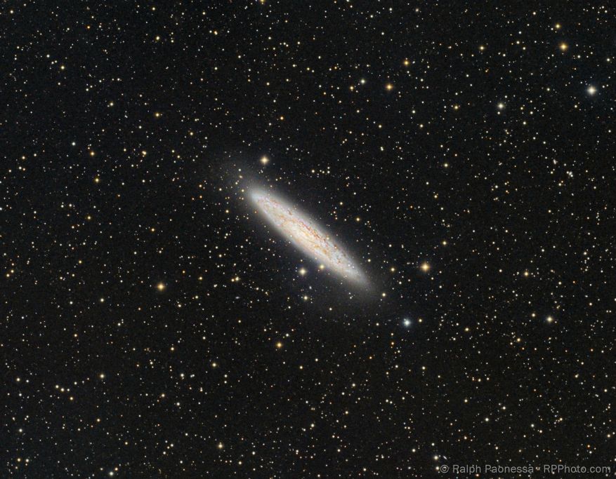 Sculptor Galaxy (NGC 523)
